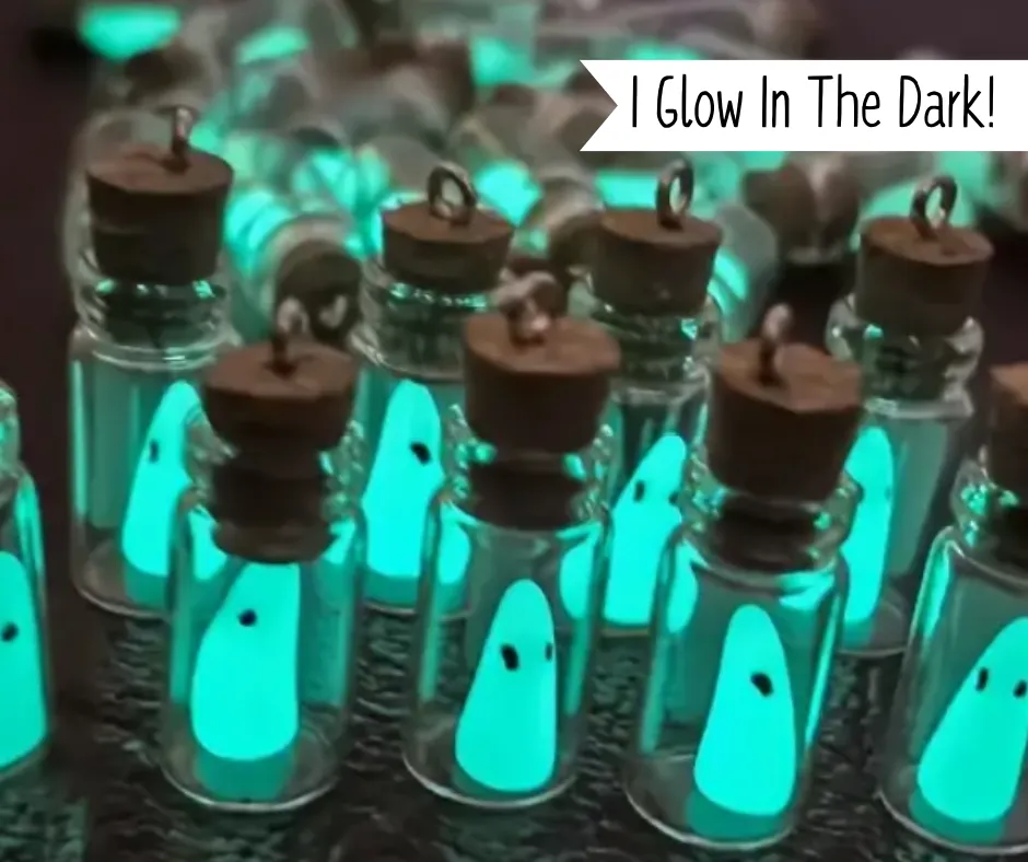 ADOPT A MINI GHOST