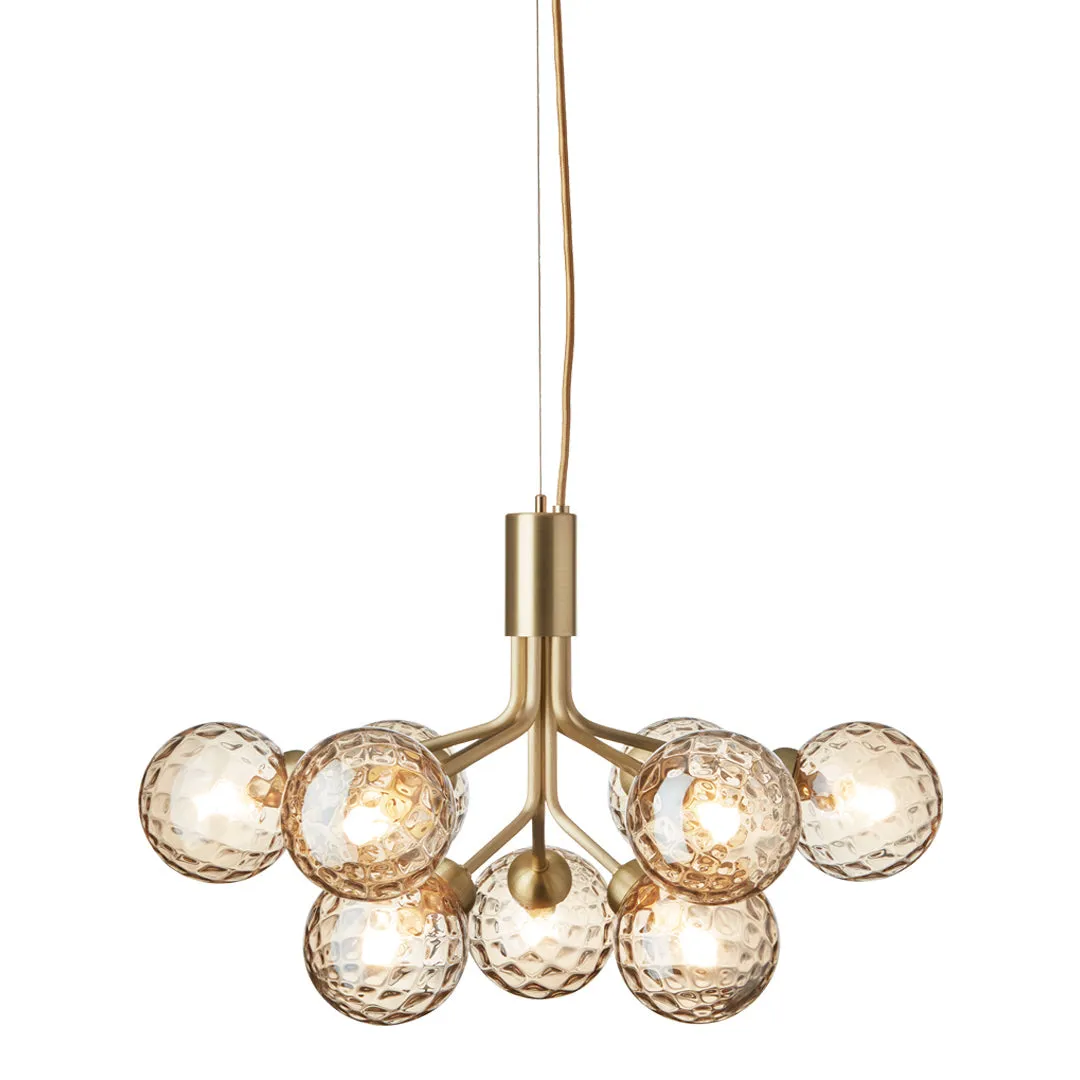 Apiales 9 Chandelier