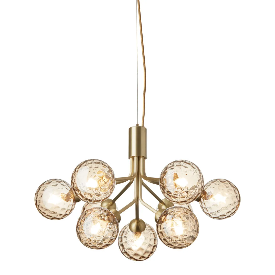 Apiales 9 Chandelier