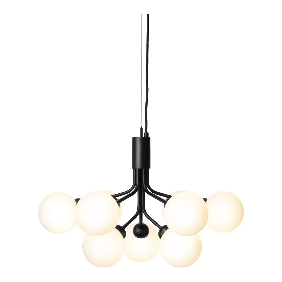 Apiales 9 Chandelier