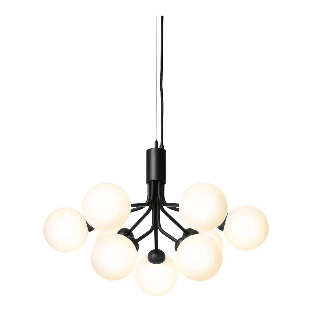 Apiales 9 Chandelier
