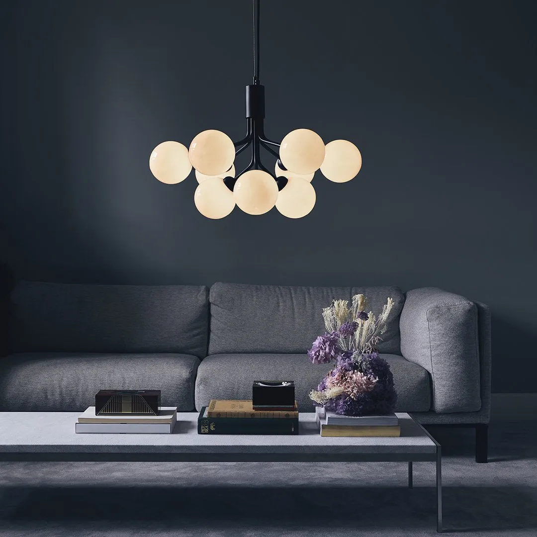 Apiales 9 Chandelier