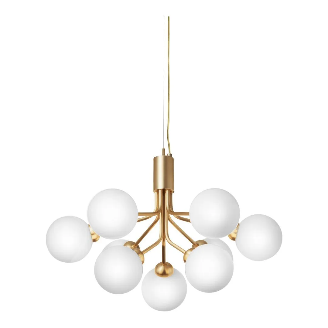 Apiales 9 Chandelier