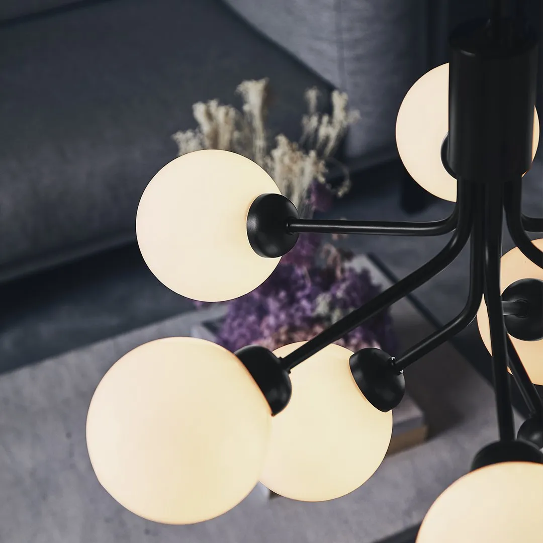 Apiales 9 Chandelier