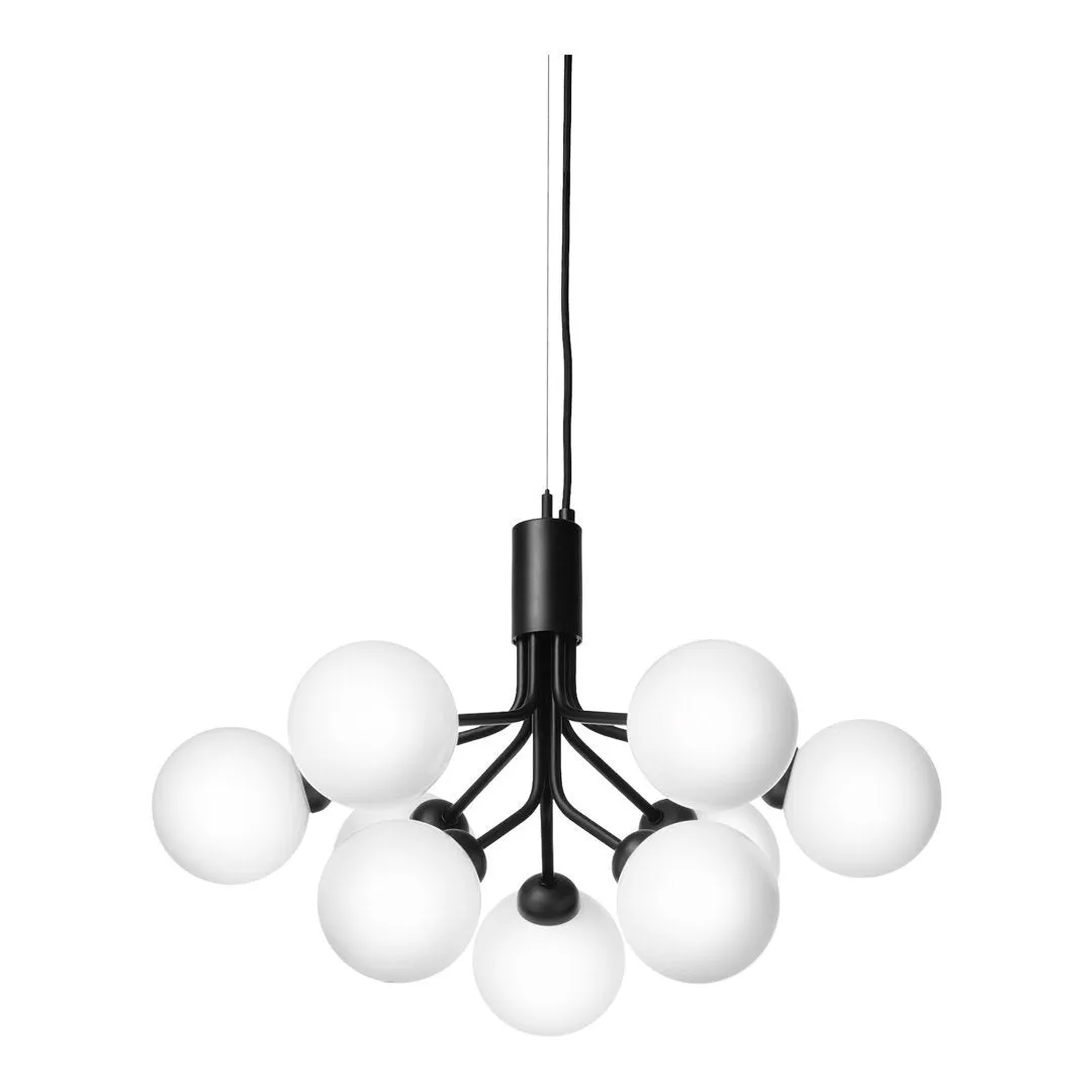 Apiales 9 Chandelier
