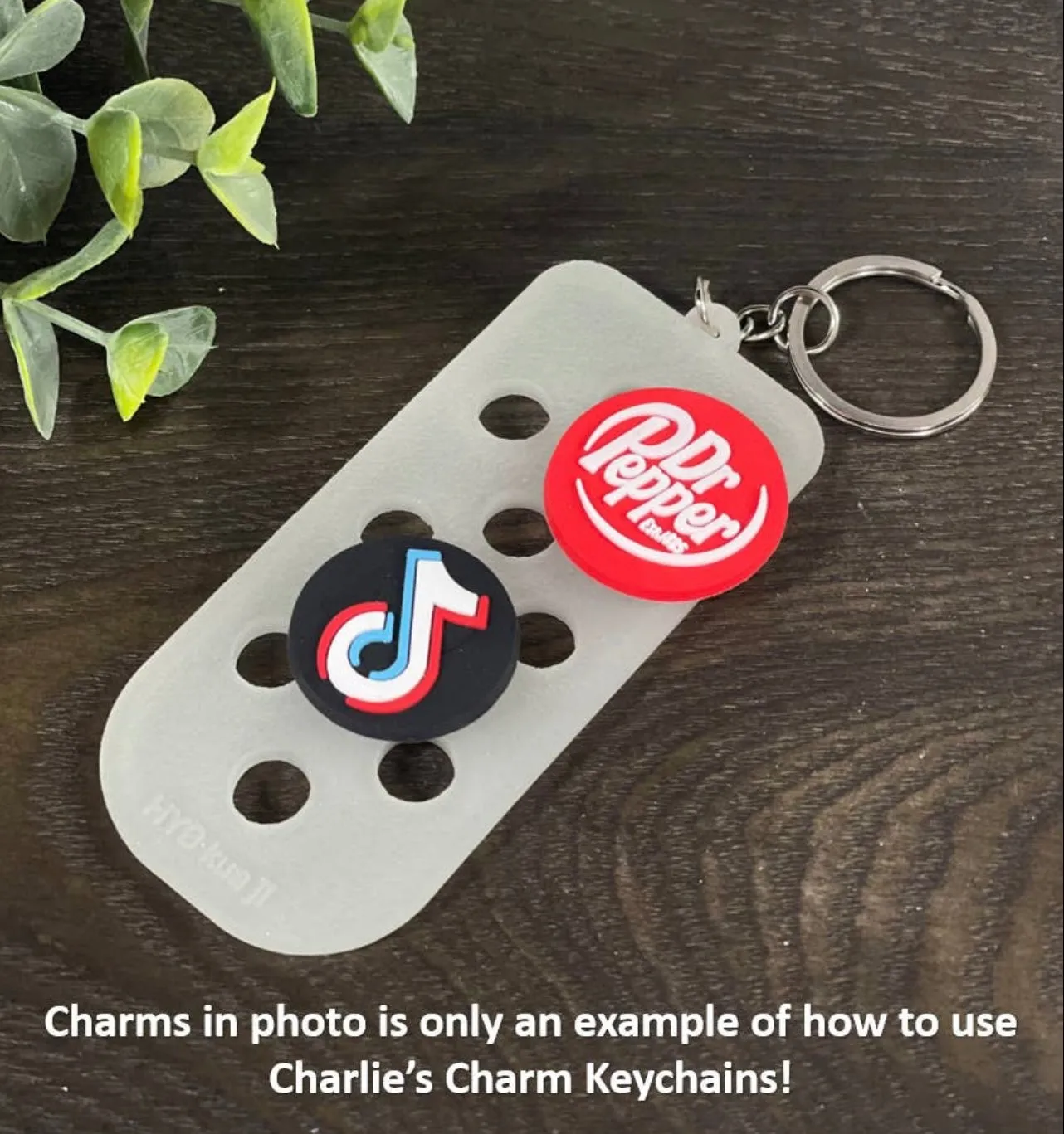 Keychain for Charlies Crocodile Charms