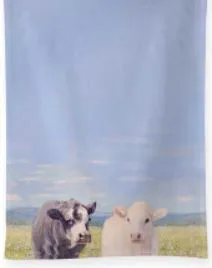 Summer Tea Towels - Final Sale 50% off in cart