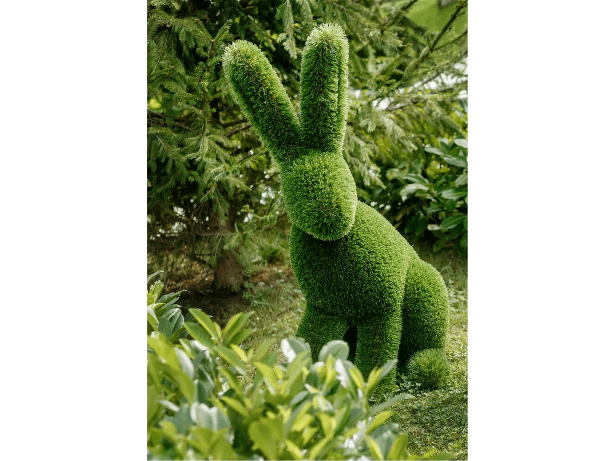Topiary Sculptures